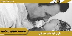 وکیل اثبات نسب در زابل