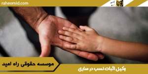 وکیل اثبات نسب در ساری