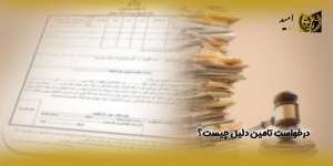 درخواست-تامین-دلیل-چیست؟(راه امید)