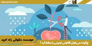 چگونه می‌توان قانونی جنینی را سقط کرد؟