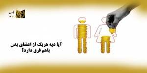 آیا دیه هریک از اعضای بدن باهم فرق دارد؟