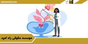 وکیل سقط جنین در تهران
