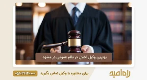 بهترین وکیل اخلال در نظم عمومی در مشهد