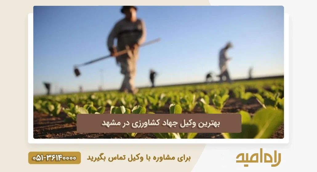 بهترین وکیل جهاد کشاورزی